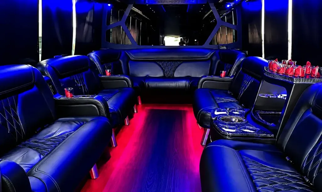 White 18 Passenger Party Bus for party bus rental