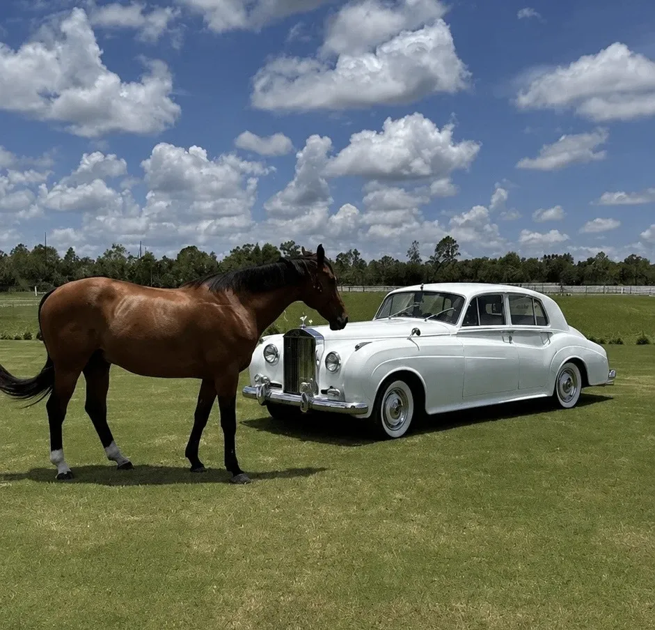 White 1960 Rolls-Royce Silver Cloud exterior, photo 3 for wedding car rental in Naples, FL