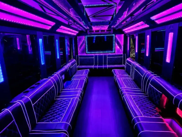 White-painted 20 Passenger Party Bus [2]