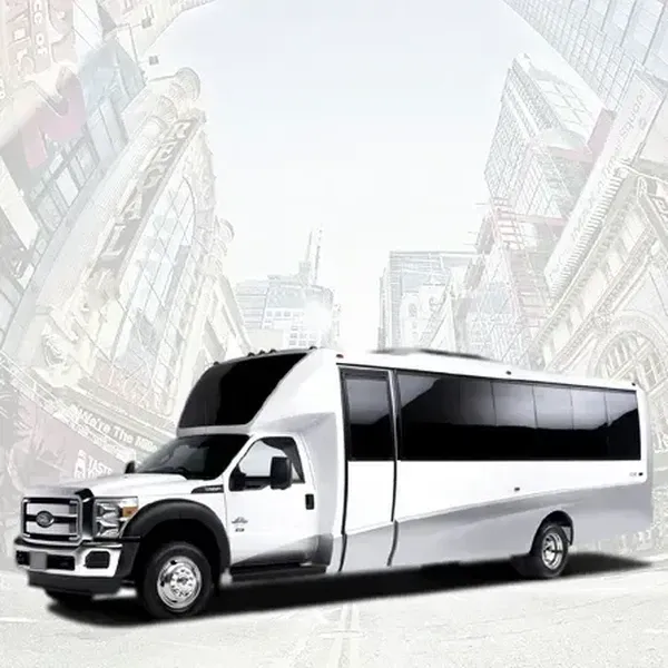 20 Passenger Party Bus 20 Passenger Party Bus ready for booking