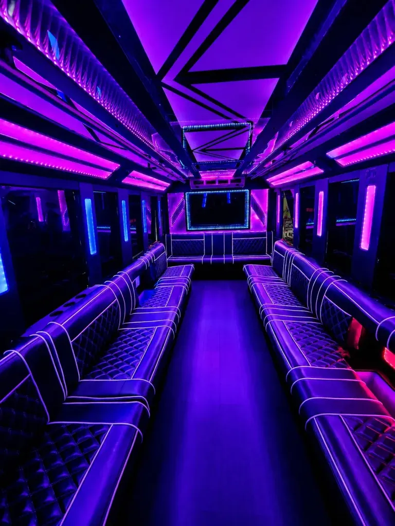 White-painted 20 Passenger Party Bus [2]