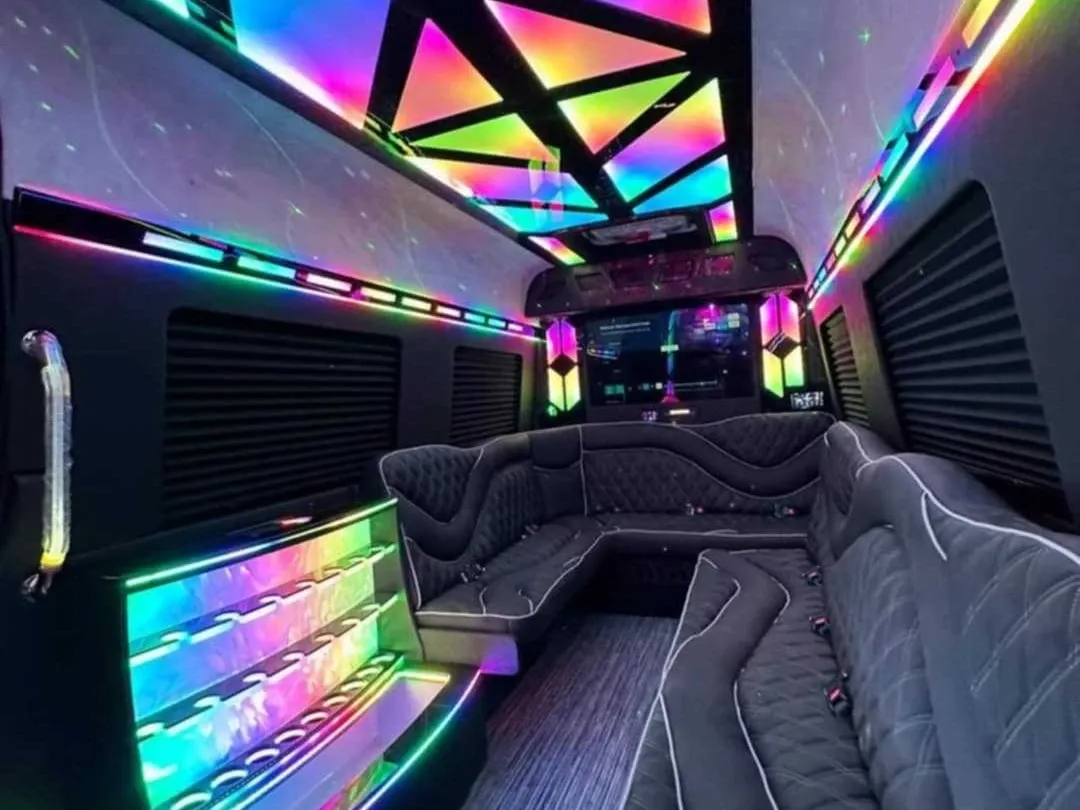 Black-painted 2026 Mercedes-Benz Sprinter Limousine (Sylvester) [2]