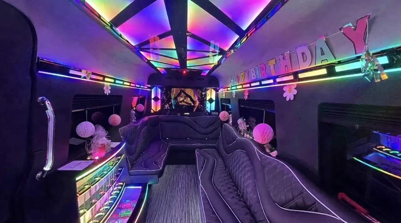 Black-painted 2026 Mercedes-Benz Sprinter Limousine (Sylvester) [2]