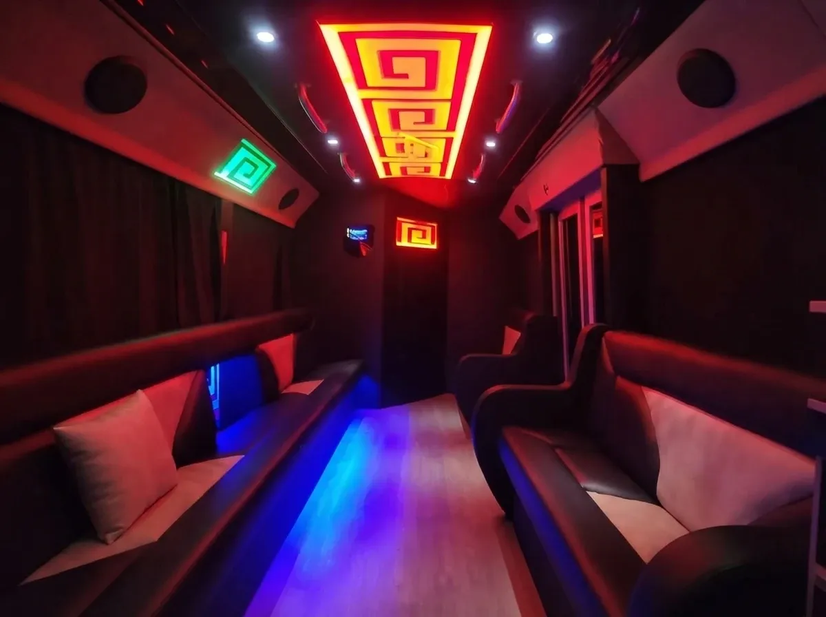 Black-painted CNG Party Bus [3]