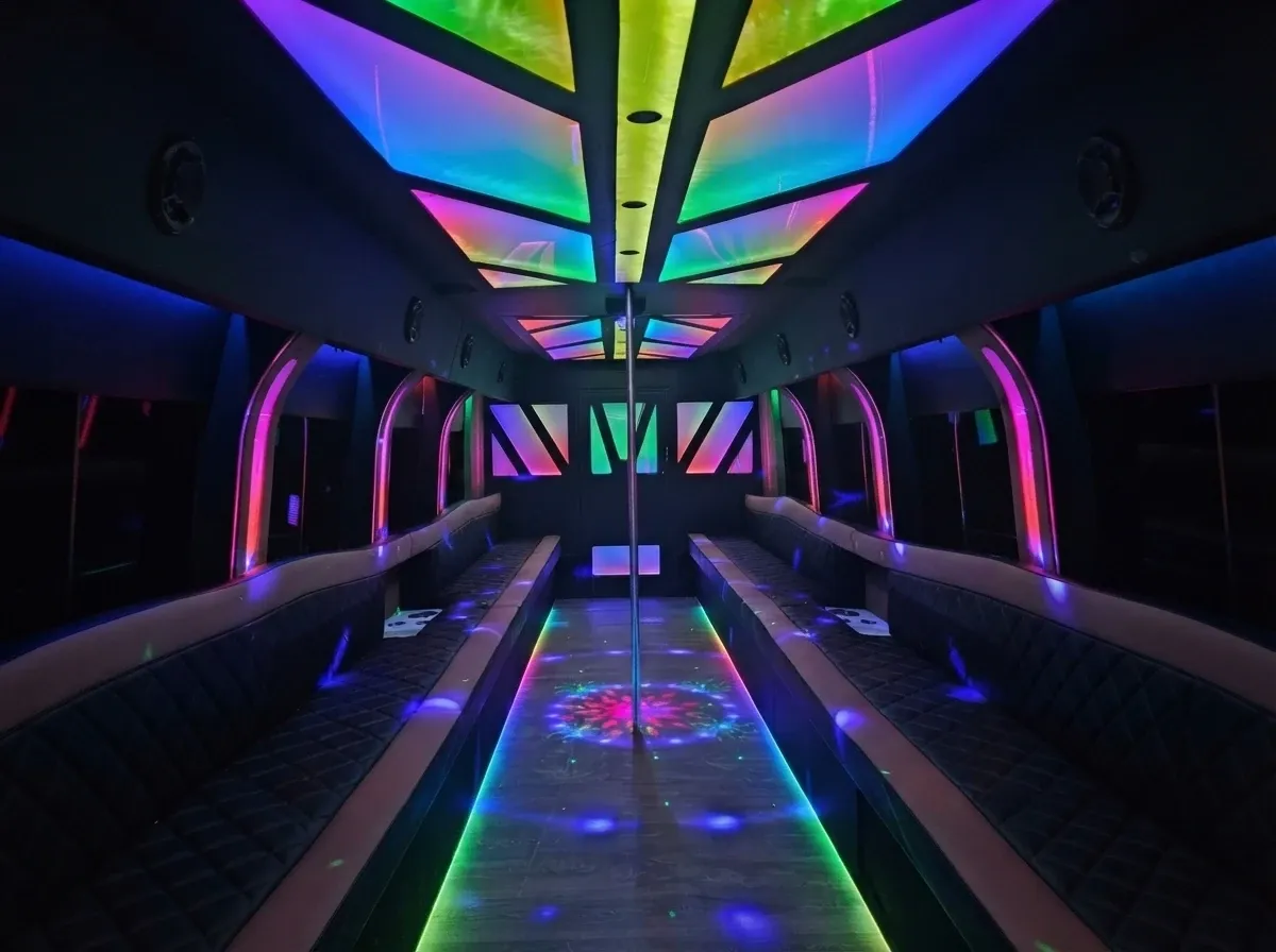 White-painted D-Lux Party Bus [2]