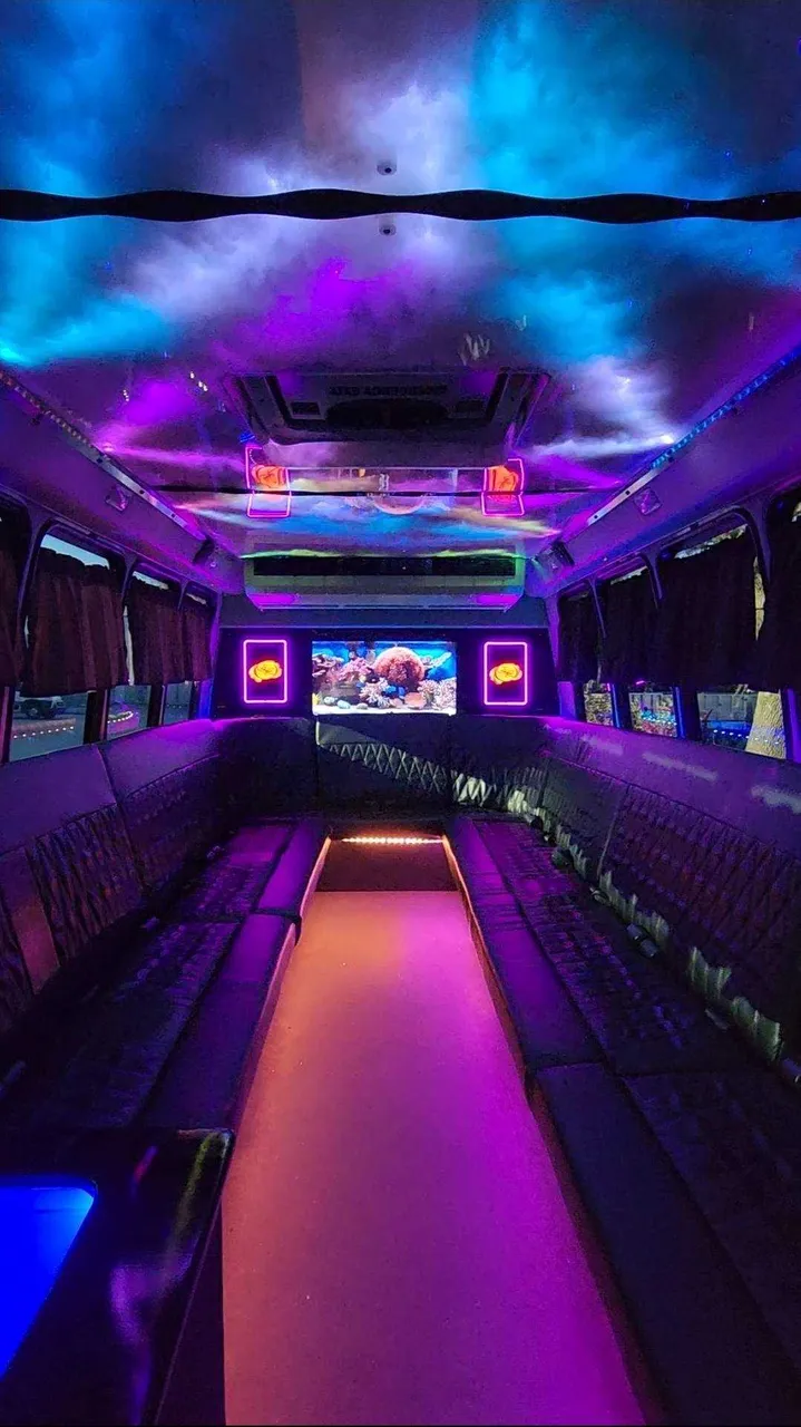 20 Passenger Luxury Party Bus interior, photo 2 for party bus rental
