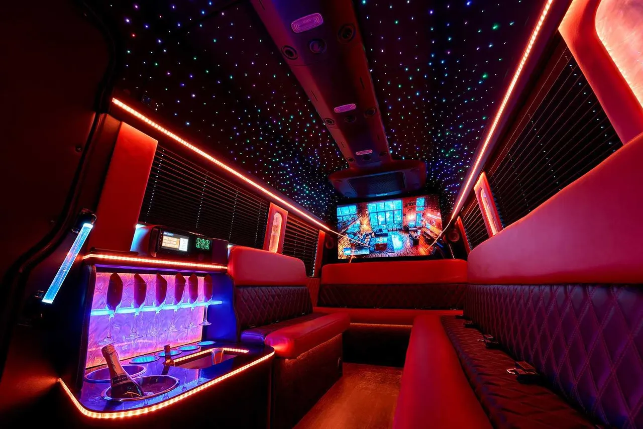 14 Passenger Limo Bus interior with perimeter lounge seating, window shades and LED accent lighting for party bus rental in Allen County, OH