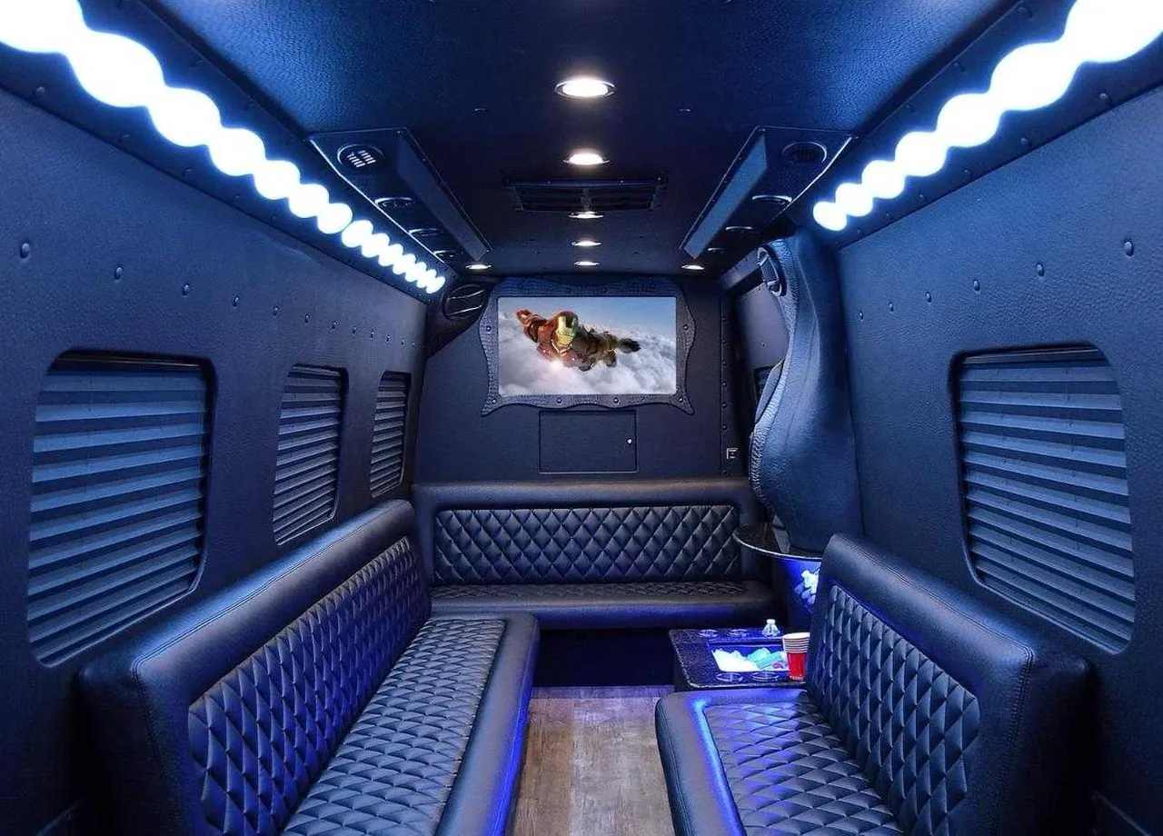 Black-painted Mercedes-Benz Limousine Coach [3]