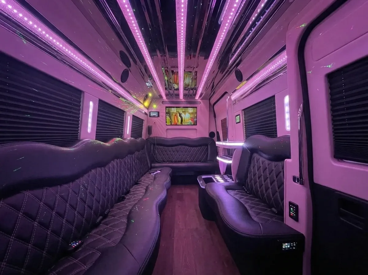 Black-painted Mercedes-Benz Sprinter Limousine [4]