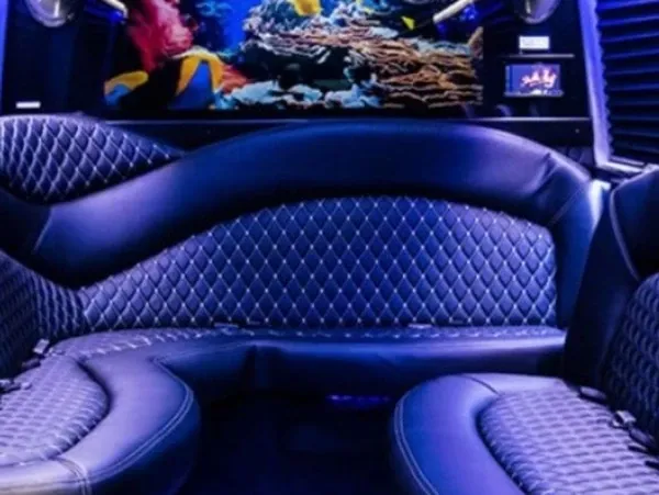 Mercedes-Benz Sprinter Limousine Mercedes-Benz Sprinter Limousine ready for booking