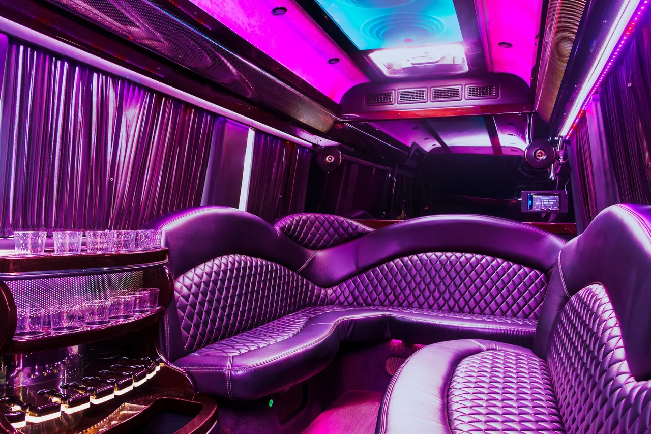 Mercedes Sprinter Limo interior for party bus rental in Ontario County, NY