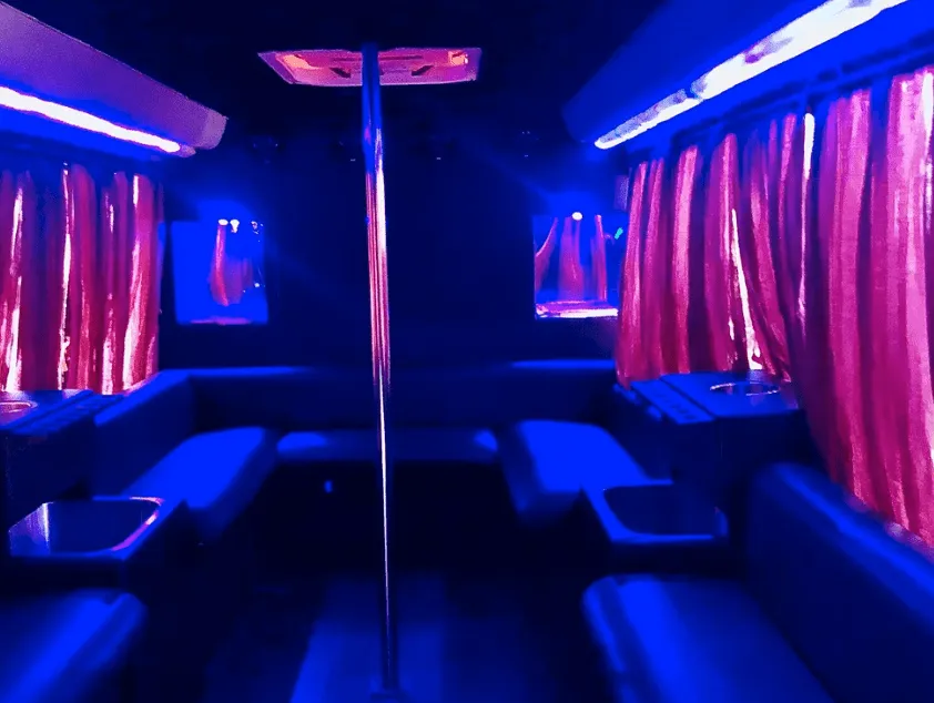 16 Passenger Party Bus interior with perimeter lounge seating, window shades and dance pole for party bus rental in Fresno County, CA