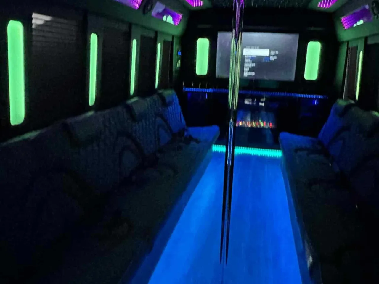 White-painted 18 Passenger Party Bus [2]