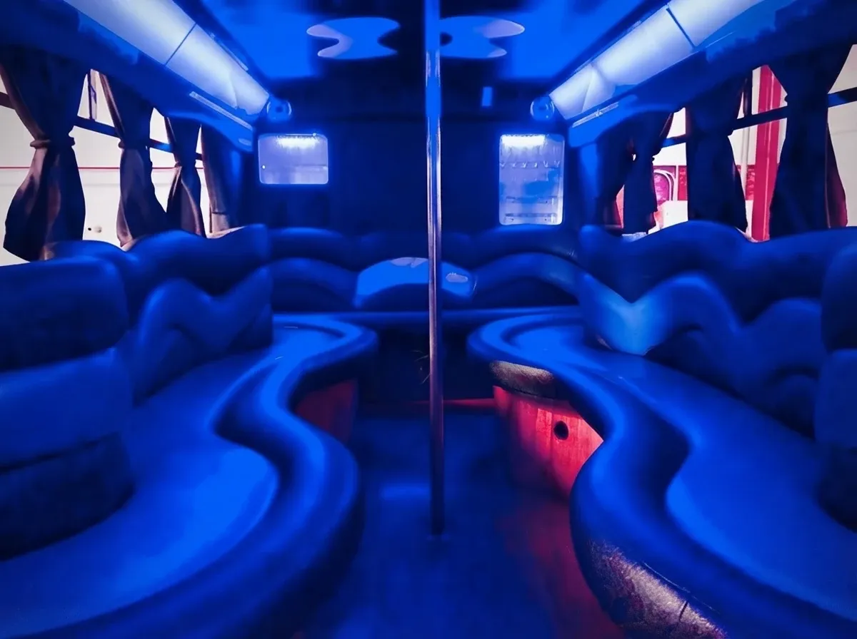 Black-painted 18 Passenger Party Bus [2]