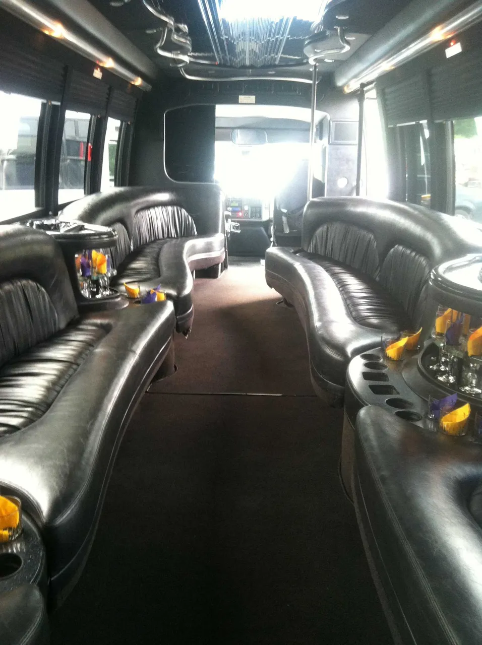 Party Bus - Dean Martin interior with perimeter lounge seating, cup holders and window shades for party bus rental in Monroe County, NY