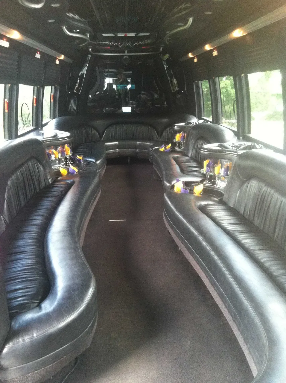 Party Bus - Dean Martin interior with perimeter lounge seating, cup holders and window shades, photo 3 for party bus rental in Monroe County, NY
